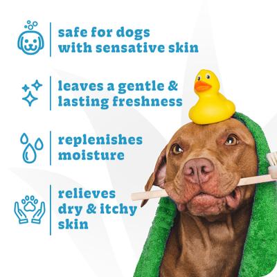 Show full view: Espree Simple Shed Dog Shampoo & Conditioner, 20-fl oz bottle slide 5 of 9