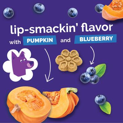 Show full view: Fruitables Biggies with Real Pumpkin & Blueberry Dog Treats, 16-oz bag slide 9 of 11
