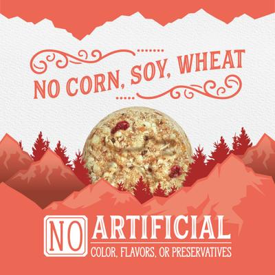 Show full view: Triumph Soft Baked with Salmon & Berries Natural Biscuits Dog Treats, 8-oz bag slide 5 of 10