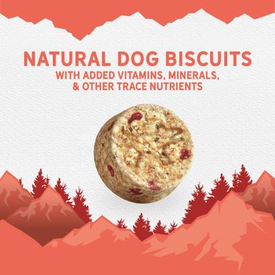 Show full view: Triumph Soft Baked with Salmon & Berries Natural Biscuits Dog Treats, 8-oz bag slide 6 of 10