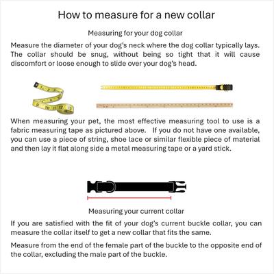 Show full view: Up Country Christmas Candy Cane Dog Collar, X-Large Wide: 18 to 24-in neck, 1-in wide slide 4 of 5