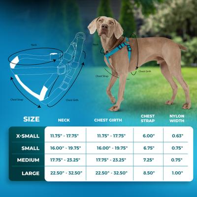 Show full view: Blazin No Pull Nylon Vest Adjustable Reflective Step-In Dog Harness, Bright Blue, Large: 22.5 to 32.5-in chest slide 2 of 5