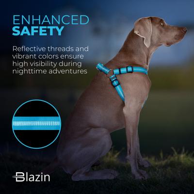Show full view: Blazin No Pull Nylon Vest Adjustable Reflective Step-In Dog Harness, Bright Blue, Large: 22.5 to 32.5-in chest slide 3 of 5