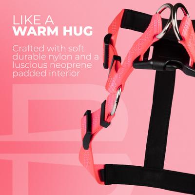 Show full view: Blazin No Pull Nylon Vest Adjustable Reflective Step-In Dog Harness, Hot Pink, Medium: 17.75 to 23.25-in chest slide 4 of 5