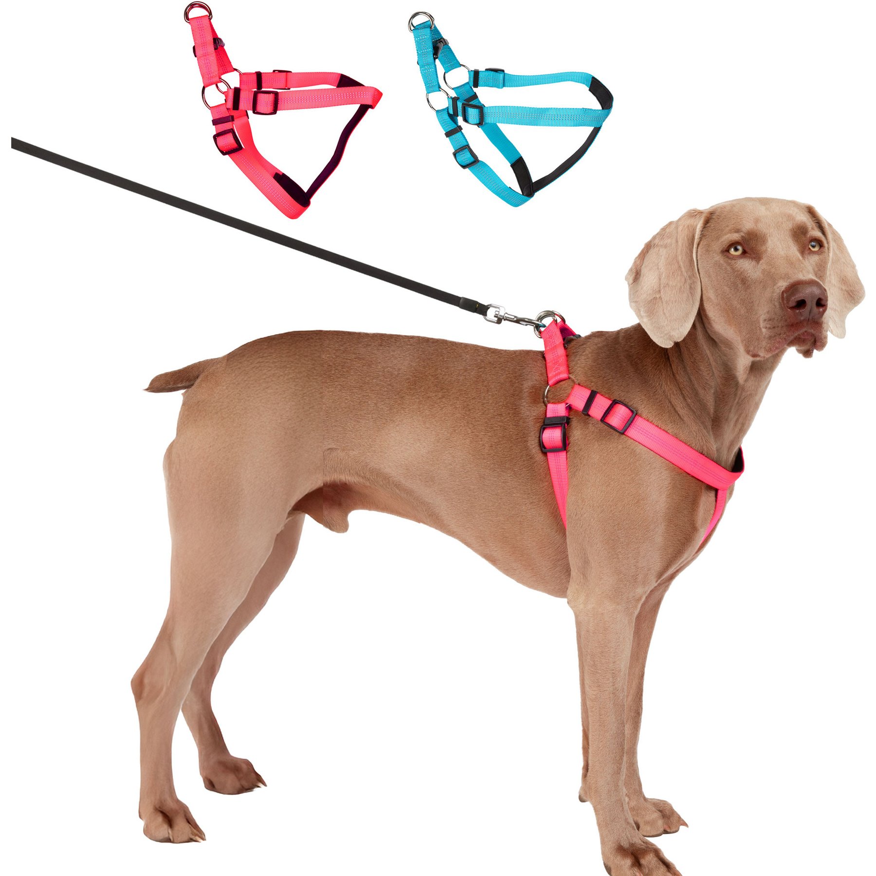 Blazin No Pull Nylon Vest Adjustable Reflective Step-In Dog Harness, Hot Pink, Medium: 17.75 to 23.25-in chest