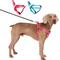 Show in main carousel: Blazin No Pull Nylon Vest Adjustable Reflective Step-In Dog Harness, Hot Pink, Medium: 17.75 to 23.25-in chest slide 1 of 5