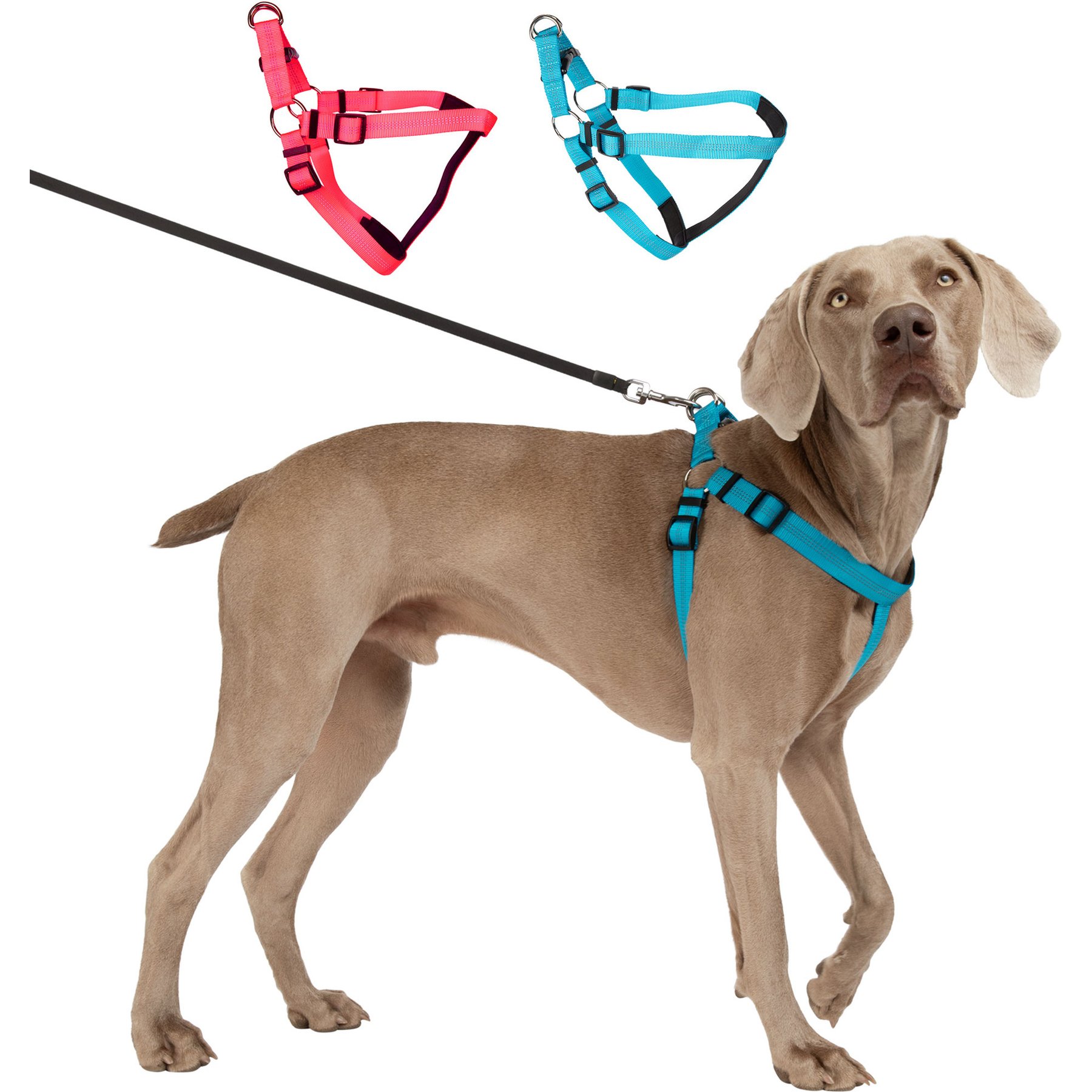 Blazin No Pull Nylon Vest Adjustable Reflective Step-In Dog Harness, Bright Blue, Medium: 17.75 to 23.25-in chest
