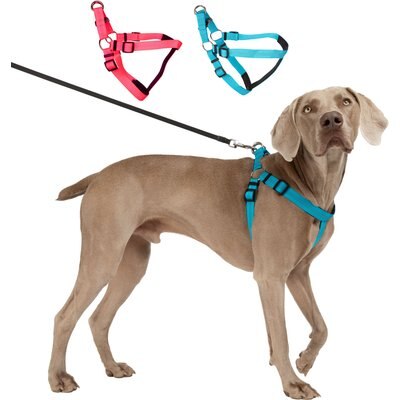 Blazin Blazin No Pull Nylon Vest Adjustable Reflective Step-In Dog Harness, Bright Blue, Medium: 17.75 to 23.25-in chest