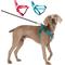 Show in main carousel: Blazin No Pull Nylon Vest Adjustable Reflective Step-In Dog Harness, Bright Blue, Large: 22.5 to 32.5-in chest slide 1 of 5