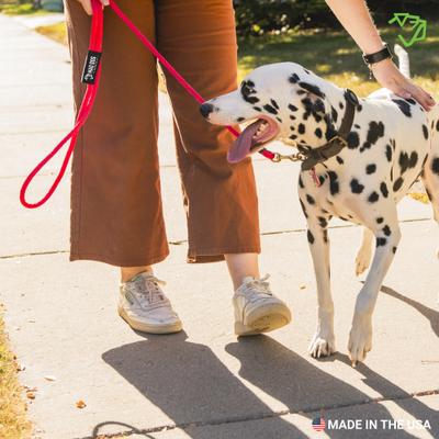 Show full view: Mad Dog Products Premium Rope Dog Leash, Yellow, 6-ft long, 3/8-in wide slide 5 of 5
