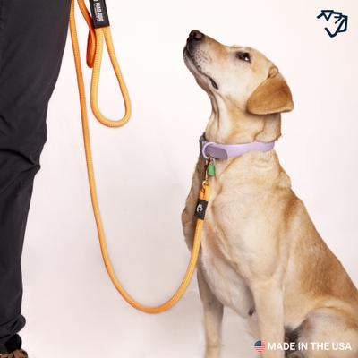 Show full view: Mad Dog Products Premium Rope Dog Leash, Yellow, 6-ft long, 3/8-in wide slide 4 of 5