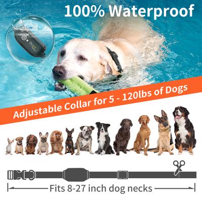 Show full view: PetJoy IPX7 Waterproof & Adjustable 3300-ft No Shock Remote Dog Training Collar, 3 count slide 5 of 7