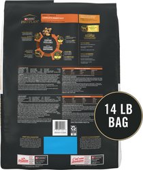 Purina Pro Plan Adult Shredded Blend Chicken & Rice Formula Dry Cat Food, 14-lb bag slide 2 of 9