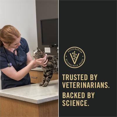 Show full view: Purina Pro Plan Adult Shredded Blend Salmon & Rice Formula Dry Cat Food, 3.2-lb bag slide 8 of 12