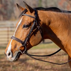 Equinavia Valkyrie Classic Wide Noseband Hunter Horse Bridle with Reins, Chocolate Brown, Horse