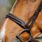 Show in main carousel: Equinavia Valkyrie Classic Wide Noseband Hunter Horse Bridle with Reins, Chocolate Brown, Cob slide 3 of 6