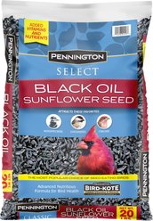 Pennington Select Black Oil Sunflower Seed Wild Bird Food, 20-lb bag