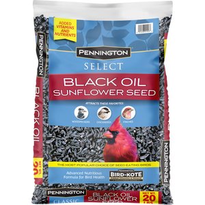 Pennington Select Black Oil Sunflower Seed Wild Bird Food, 20-lb bag