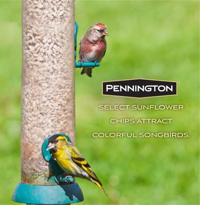 Show full view: Pennington Select Sunflower Chips Wild Bird Food, 5-lb bag slide 5 of 11