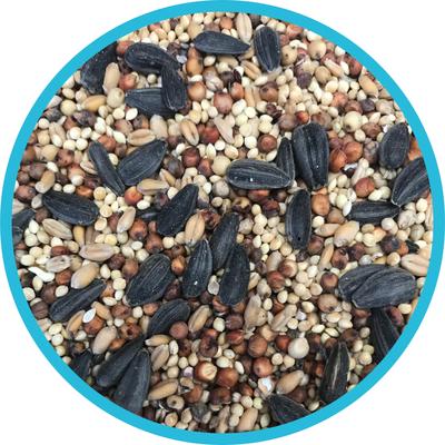 Show full view: Pennington Classic Wild Bird Food, 10-lb bag slide 3 of 12