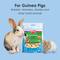 Show in main carousel: Kaytee Fiesta Krunch-A-Rounds Small Animal Treats, 3-oz bag slide 4 of 6