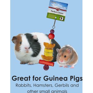 Kaytee Perfect Chews Guinea Pig Toy, 6.5-in
