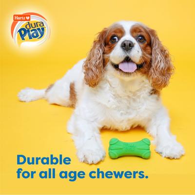 Show full view: Hartz Dura Play Bone Squeaky Latex Dog Toy, Color Varies, Small slide 6 of 13