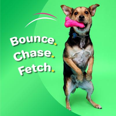 Show full view: Hartz Dura Play Bone Squeaky Latex Dog Toy, Color Varies, Small slide 5 of 13