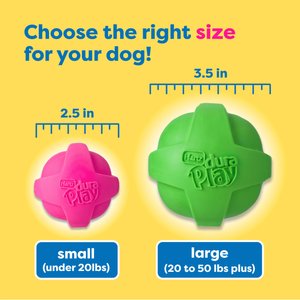 Hartz Dura Play Ball Squeaky Latex Dog Toy, Color Varies, 3 count, Small