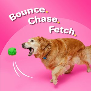 Hartz Dura Play Ball Squeaky Latex Dog Toy, Color Varies, 3 count, Small