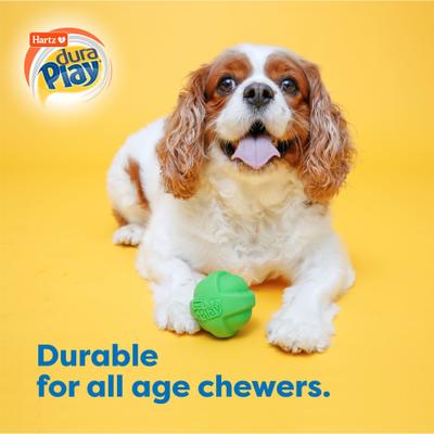 Hartz Dura Play Ball Squeaky Latex Dog Toy, Color Varies