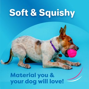 Hartz Dura Play Ball Squeaky Latex Dog Toy, Color Varies, 3 count, Small