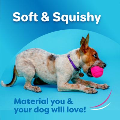 Show full view: Hartz Dura Play Ball Squeaky Latex Dog Toy, Color Varies, Small slide 2 of 12