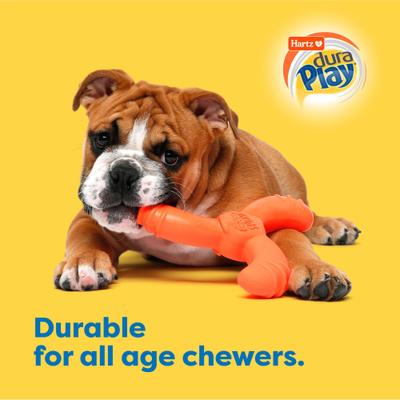 Show full view: Hartz Dura Play Boomerang Bacon Scented Squeaky Latex Dog Toy, Color Varies, 1 count slide 5 of 11