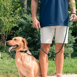 Mad Dog Products Urban Signature Rope Polypropylene Slip Lead Dog Leash, Rainbow, 6-ft long, 1/2-in wide slide 2 of 6
