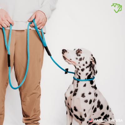 Show full view: Mad Dog Products Urban Signature Rope Polypropylene Slip Lead Dog Leash, Pink, 6-ft long, 3/8-in wide slide 5 of 6