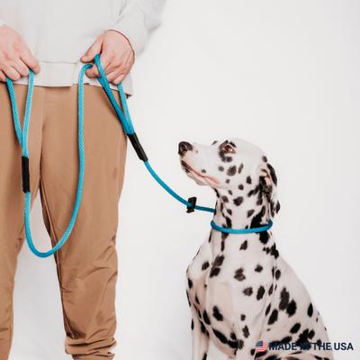 Show full view: Mad Dog Products Urban Signature Rope Polypropylene Slip Lead Dog Leash, Aqua, 6-ft long, 1/4-in wide slide 6 of 7