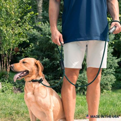 Show full view: Mad Dog Products Urban Signature Rope Polypropylene Slip Lead Dog Leash, Aqua, 6-ft long, 1/4-in wide slide 5 of 7