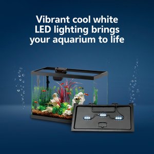Aqueon Smart Clean Filtration LED Fish Aquarium Starter Kit, 10-gal