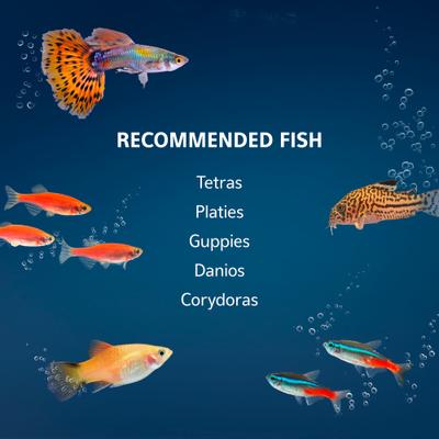 Show full view: Aqueon Smart Clean Filtration LED Fish Aquarium Starter Kit, 10-gal slide 7 of 11