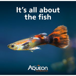 Aqueon Smart Clean Filtration LED Fish Aquarium Starter Kit, 10-gal