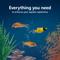 Show in main carousel: Aqueon Smart Clean Filtration LED Fish Aquarium Starter Kit, 10-gal slide 2 of 11