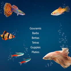 Aqueon Smart Clean Filtration LED Fish Aquarium Starter Kit, 20-gal slide 2 of 9