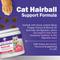 Show in main carousel: 21st Century Essential Pet Hairball Support Soft Chews Supplement for Cats, 100 count slide 4 of 11