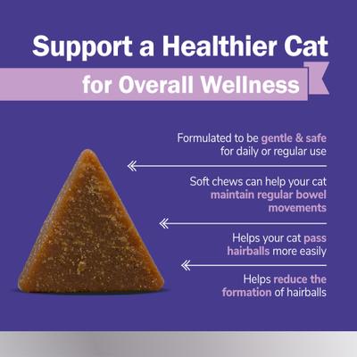 Show full view: 21st Century Essential Pet Hairball Support Soft Chews Supplement for Cats, 100 count slide 5 of 11