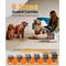 Show in main carousel: OneIsAll BM3 13000Pa Powerful 3 Suction Levels Dog Grooming Kit slide 6 of 12