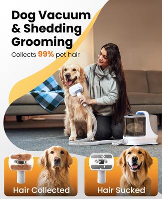 Show full view: OneIsAll BM3 13000Pa Powerful 3 Suction Levels Dog Grooming Kit slide 5 of 12