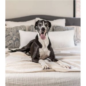 Magic Fabric Luxurious Odor Resistant Dog & Cat Furniture Cover, Custard, Jumbo