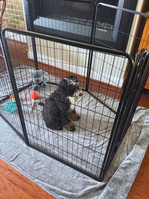 Show full view: Magic Fabric Waterproof Odor Resistant Dog & Cat Furniture Cover, Stone, Jumbo slide 5 of 7