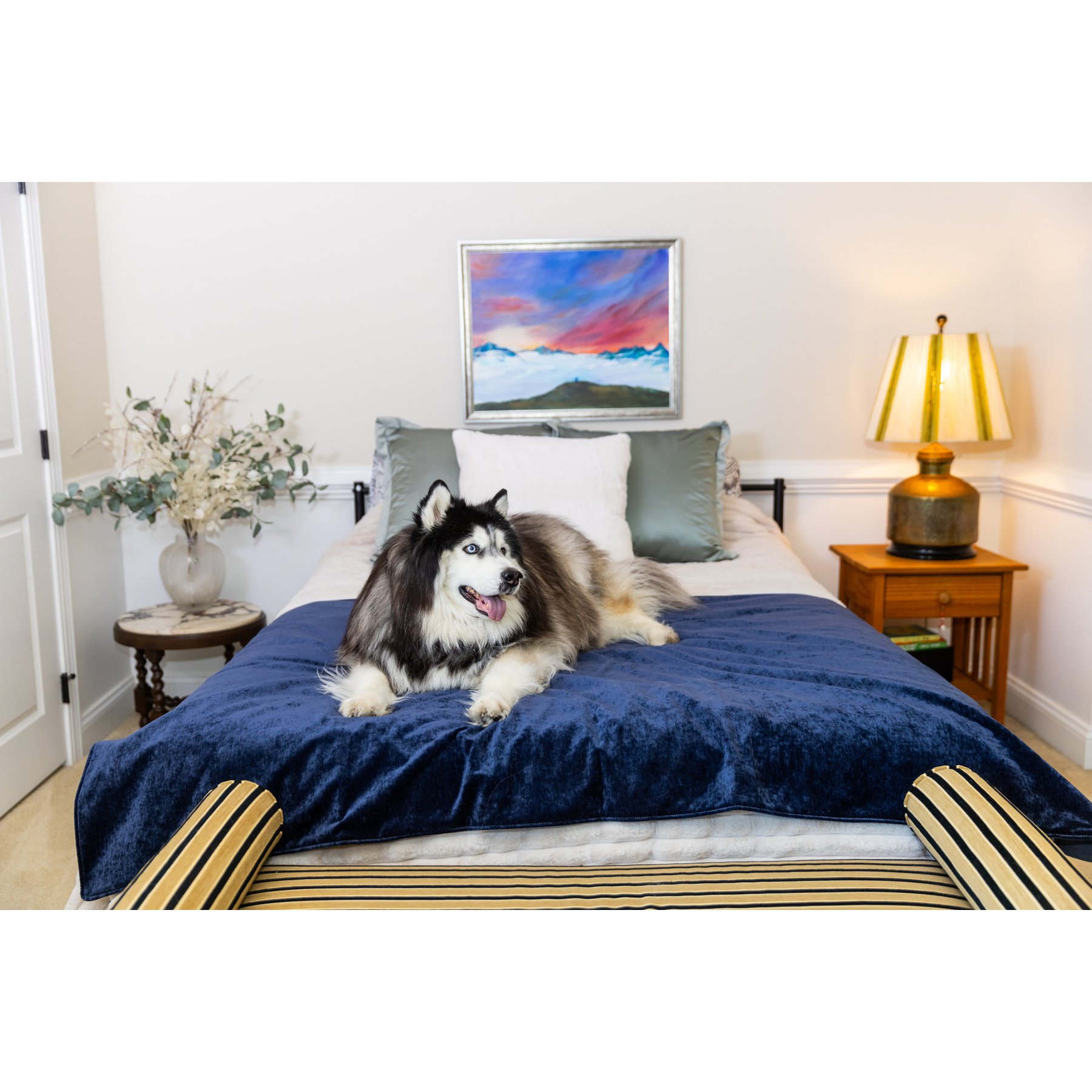 Magic Fabric Waterproof Odor Resistant Dog & Cat Furniture Cover, Eclipse, Jumbo